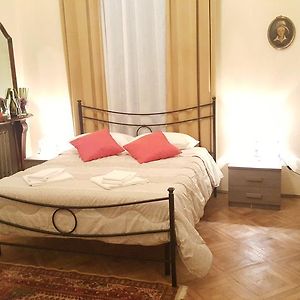 King Room Garden View